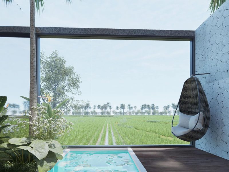 Window