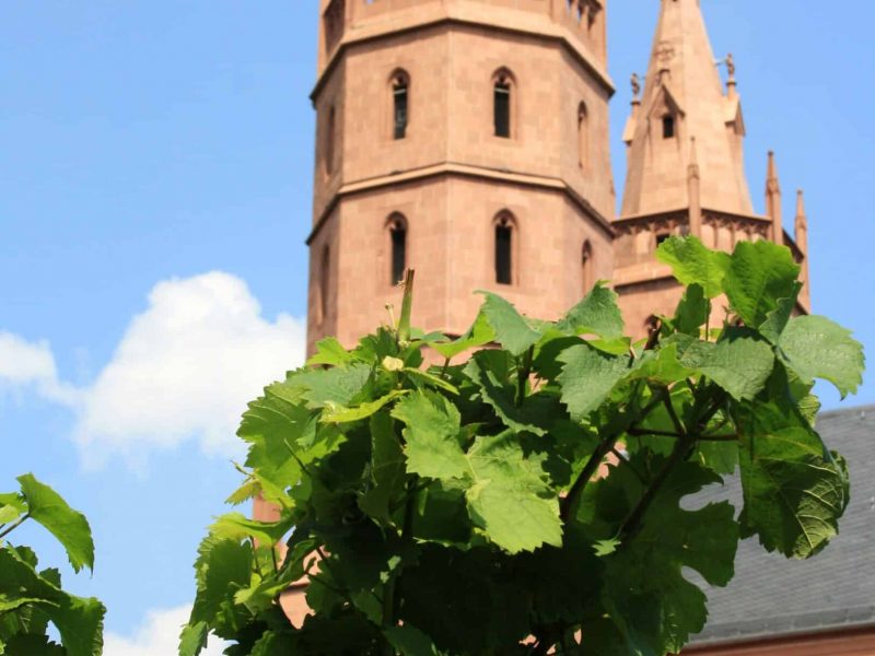 church-of-our-lady-442718